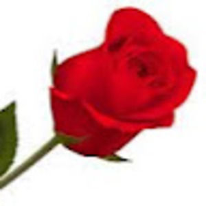 Meet your Posher, Sheila